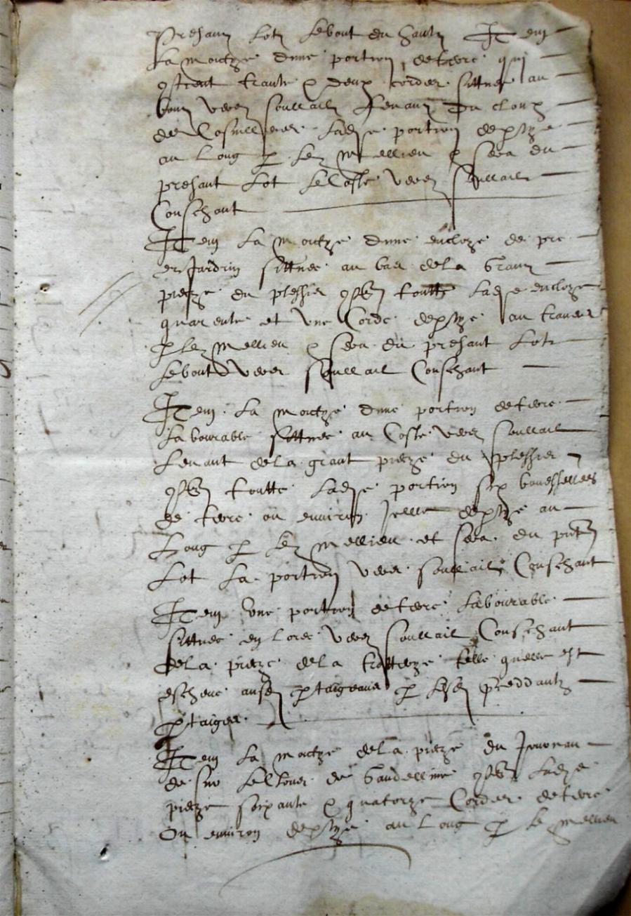 Cohon-F_1619 (9).JPG